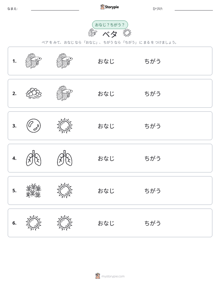 同じか違うか