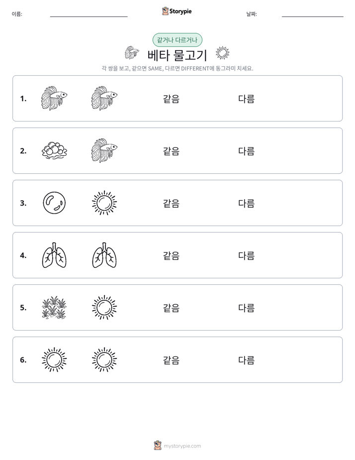같은 것 또는 다른 것