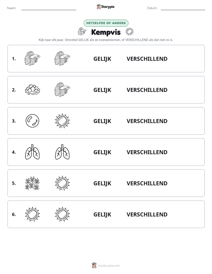 Zelfde of Verschillend