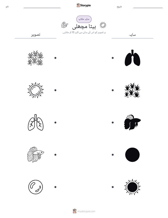 سایہ ملائیں