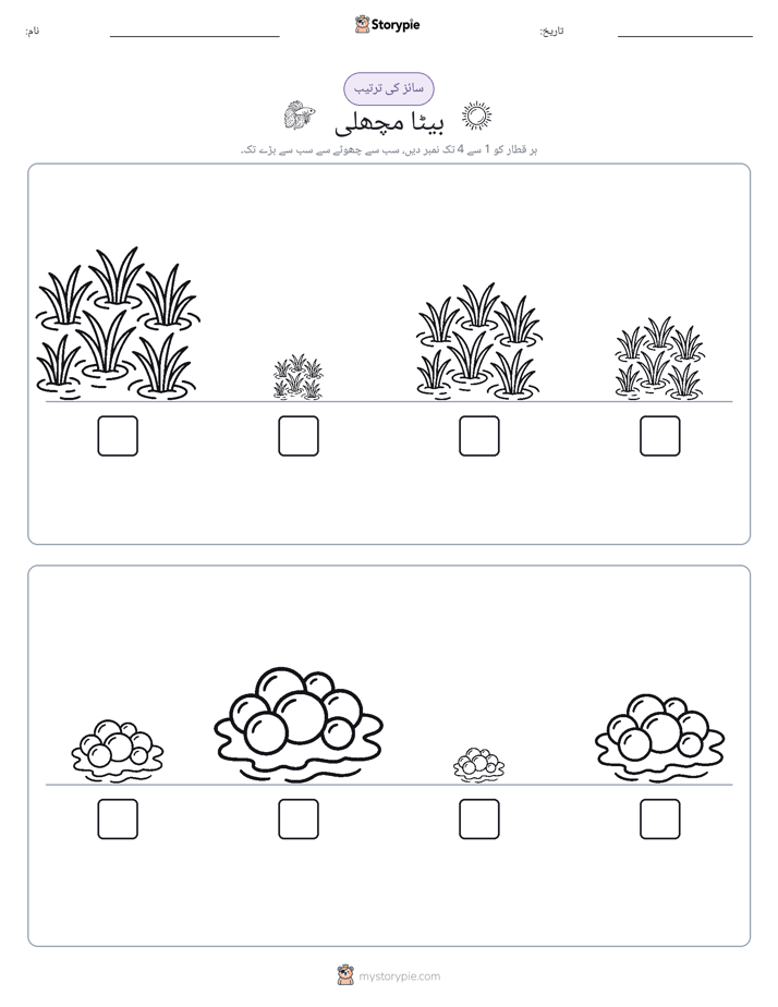 سائز کی ترتیب