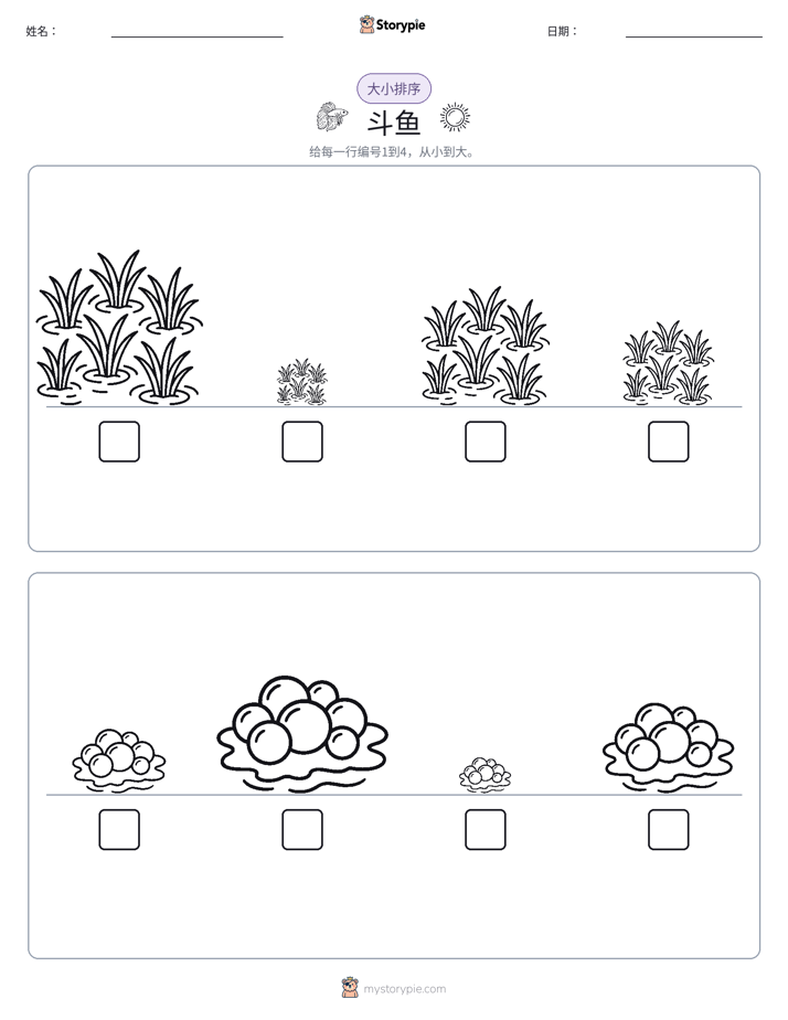 大小排序