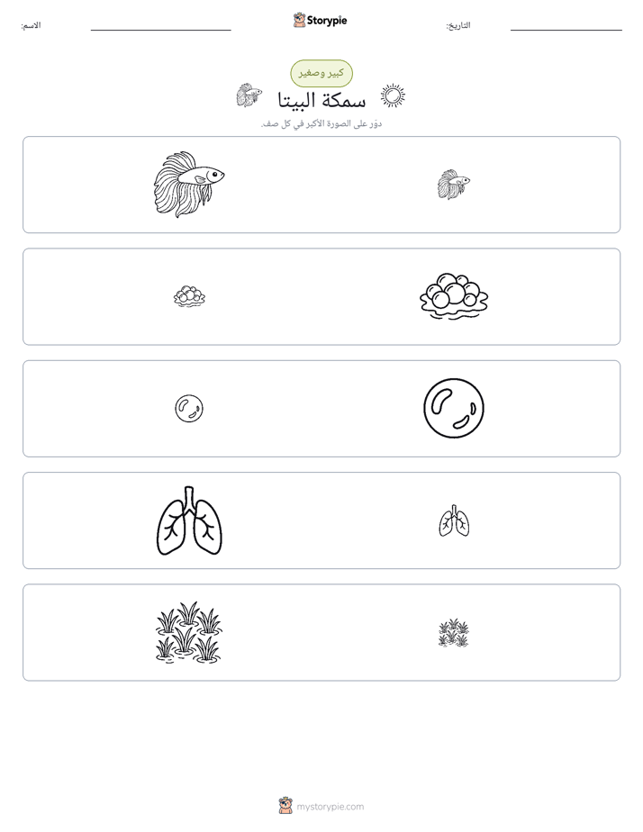 فرز