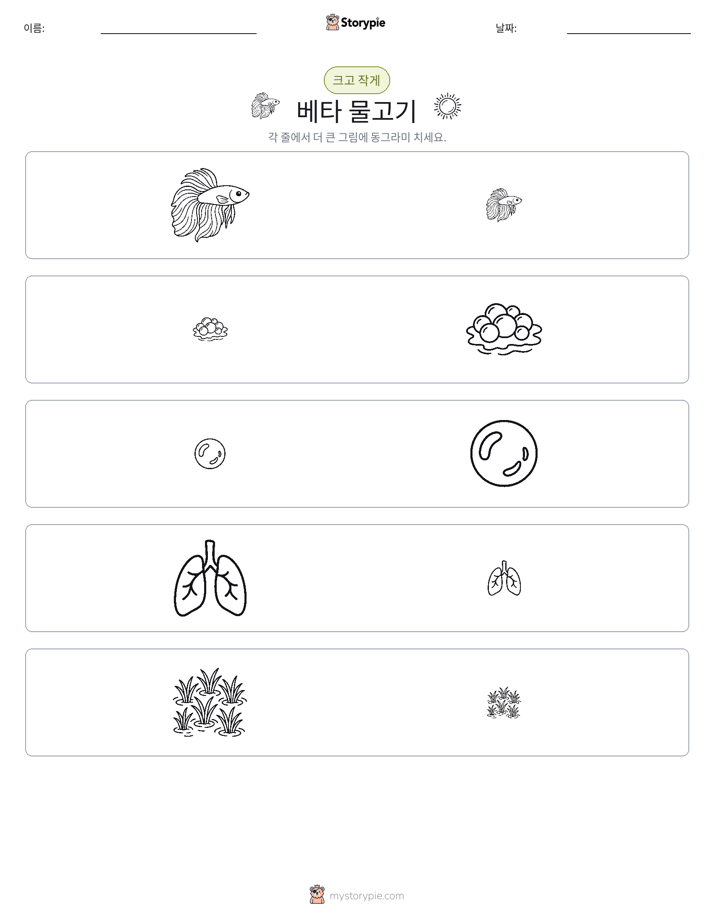 정렬