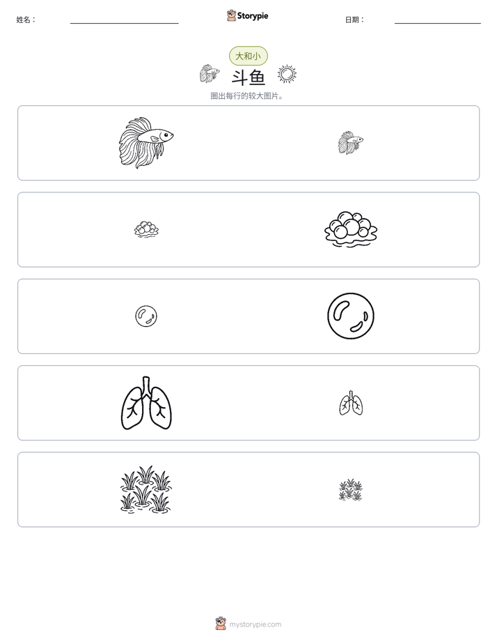 分类