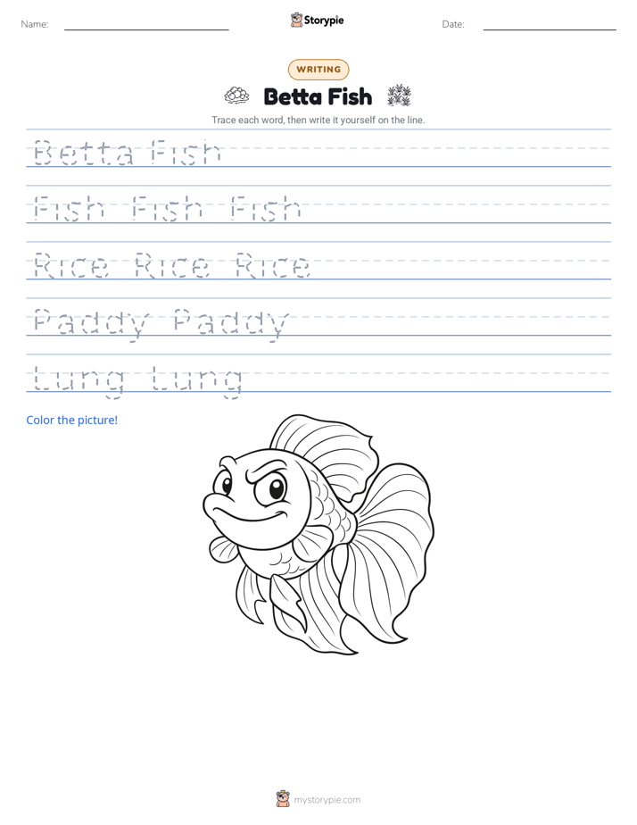 Writing Practice