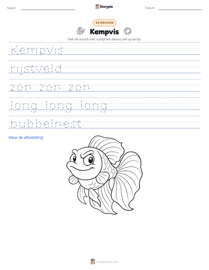 Schrijf Oefening