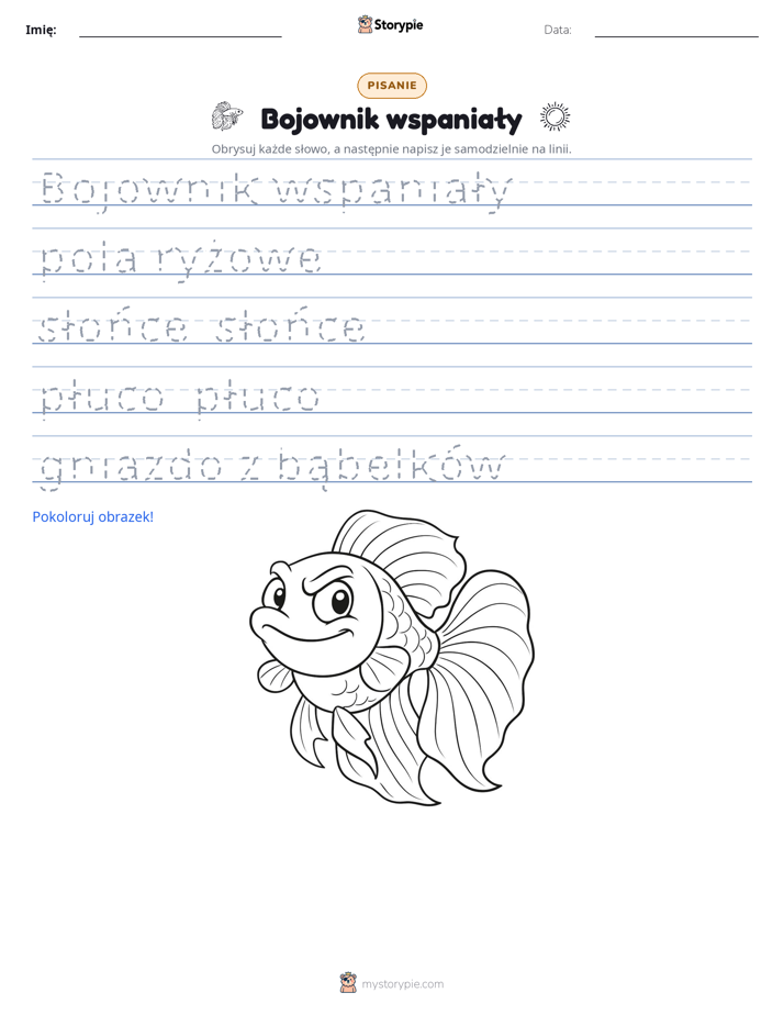 Ćwiczenie Pisania