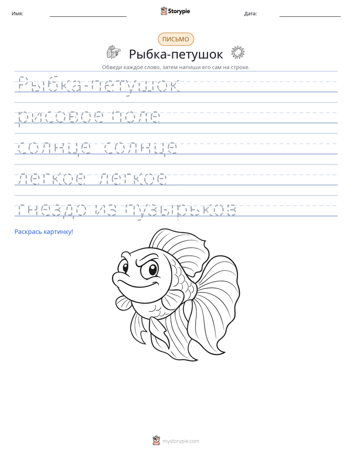 Практика письма