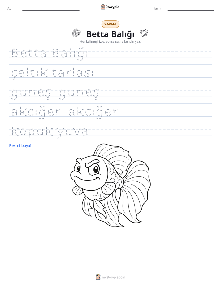 Yazma Pratiği