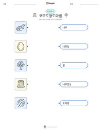 코모도왕도마뱀 인쇄 가능한 워크시트 미리보기