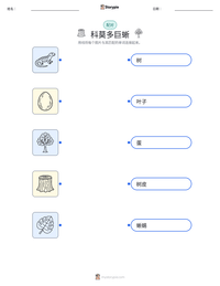 科莫多巨蜥 可打印工作表预览