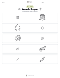 Komodo Dragon printable worksheet preview