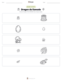 Aperçu de la feuille de travail imprimable Dragon de Komodo