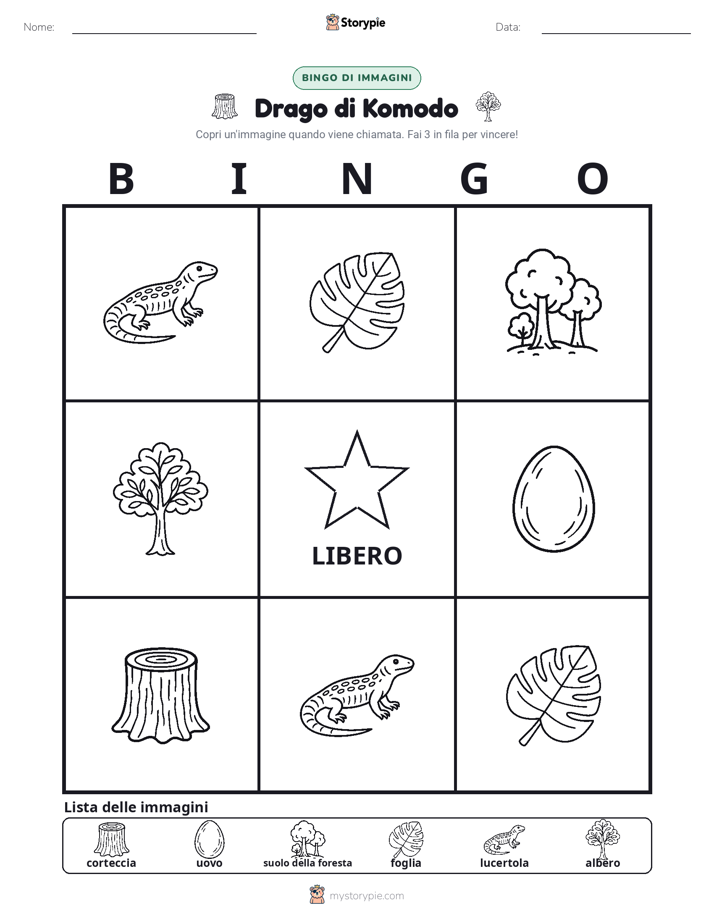 Bingo delle Immagini