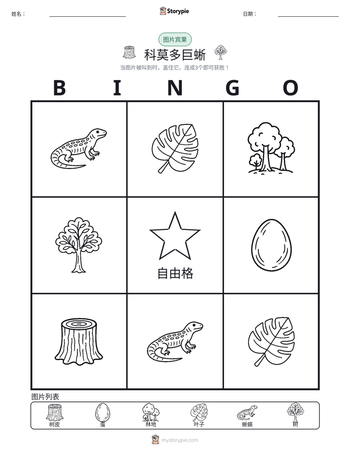 图片宾果