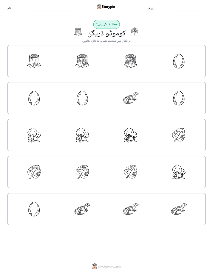 عجیب ایک