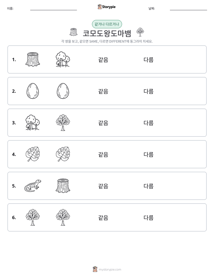 같은 것 또는 다른 것