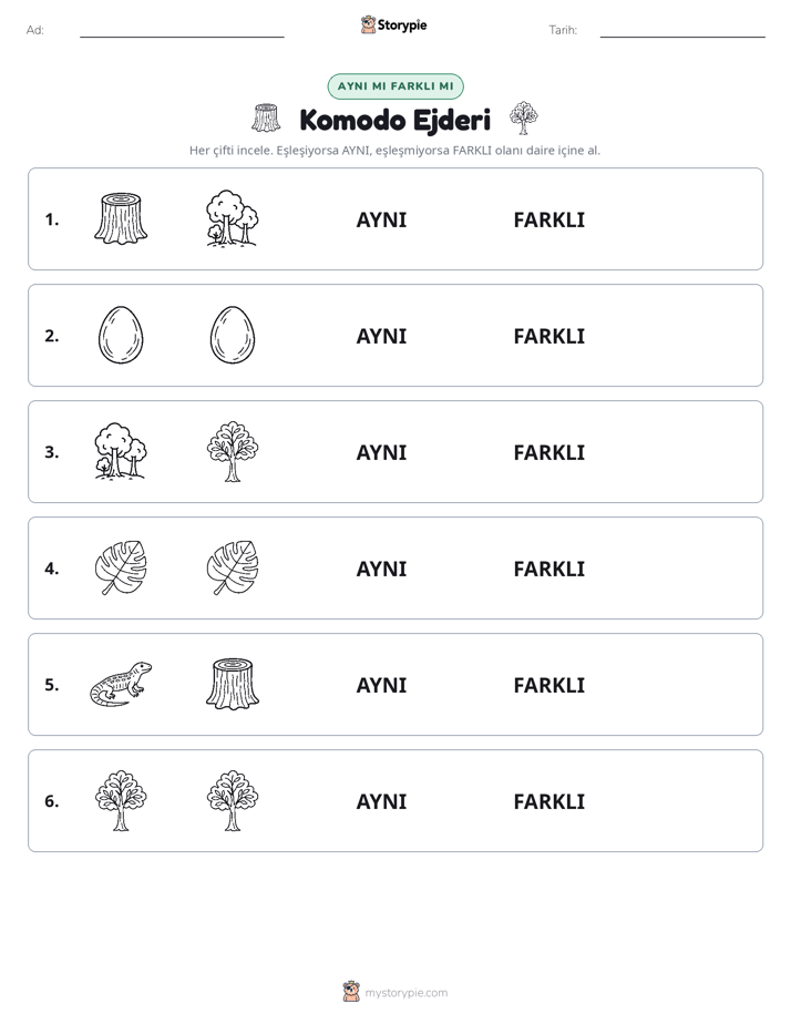 Aynı mı Farklı mı