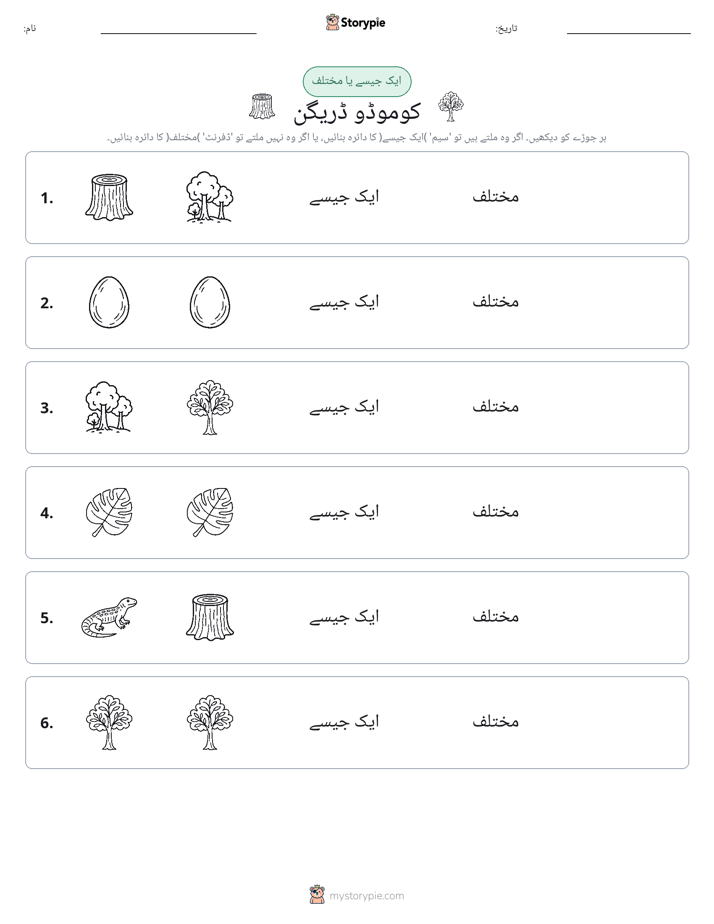 ایک جیسا یا مختلف