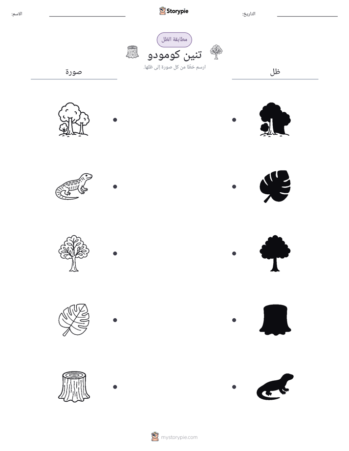 مطابقة الظل