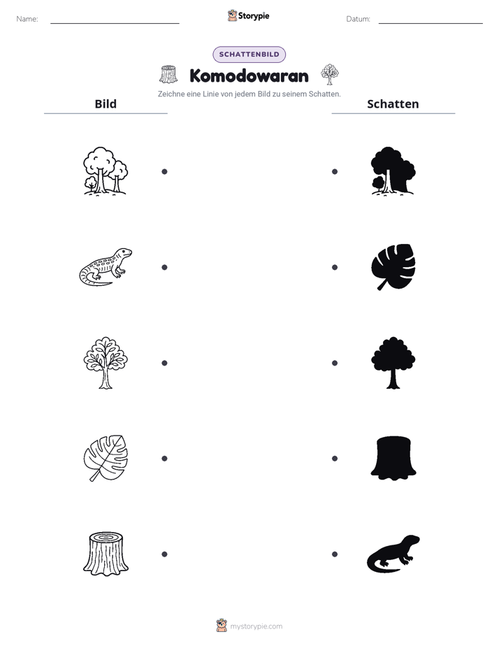 Schattenmatch