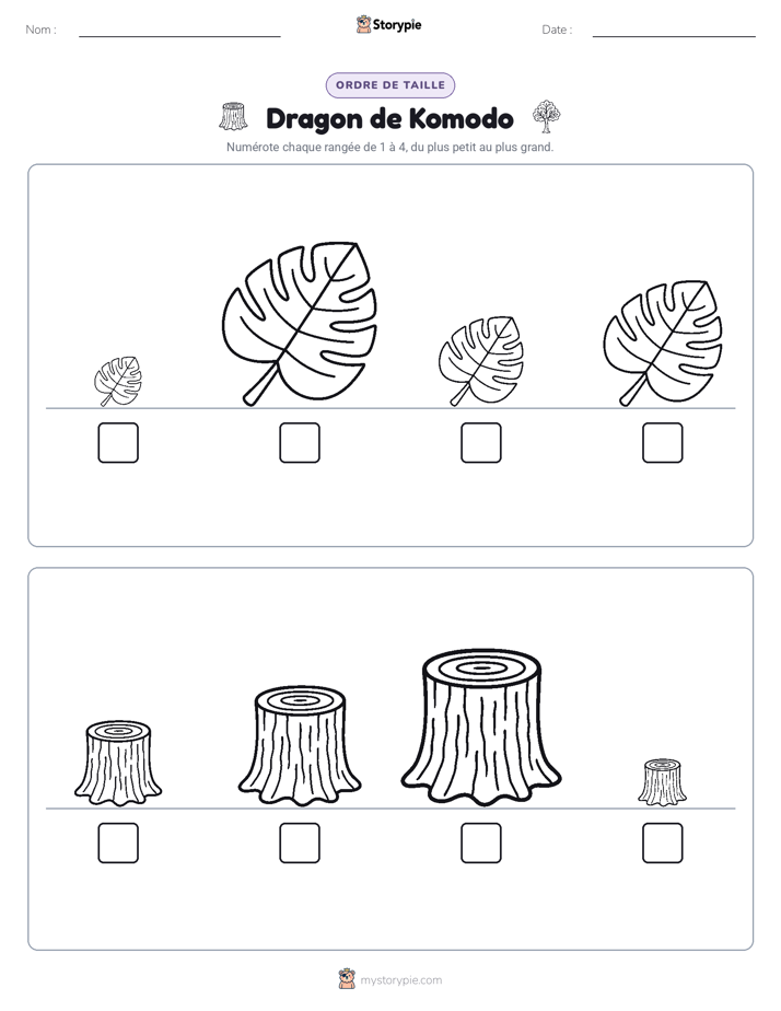 Ordre de Taille