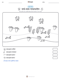বার্ড-অফ-প্যারাডাইস মুদ্রণযোগ্য কাজের পৃষ্ঠার প্রিভিউ