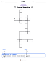 Bird-of-Paradise printable worksheet preview
