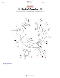 Bird-of-Paradise printable worksheet preview