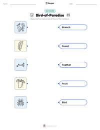 Bird-of-Paradise printable worksheet preview