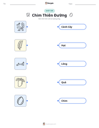 Xem trước tài liệu in sẵn Chim Thiên Đường