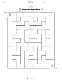 Bird-of-Paradise printable worksheet preview
