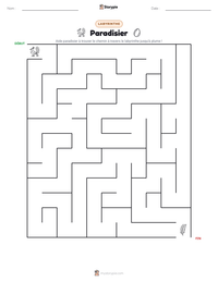 Aperçu de la feuille de travail imprimable Paradisier