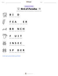 Bird-of-Paradise printable worksheet preview