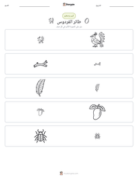 معاينة ورقة العمل القابلة للطباعة طائر الفردوس