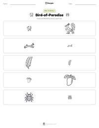 Bird-of-Paradise printable worksheet preview