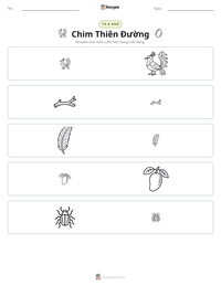 Xem trước tài liệu in sẵn Chim Thiên Đường