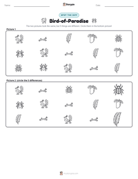 Bird-of-Paradise printable worksheet preview