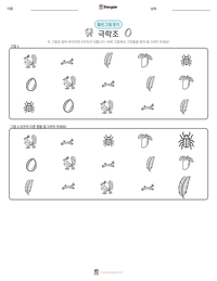 극락조 인쇄 가능한 워크시트 미리보기