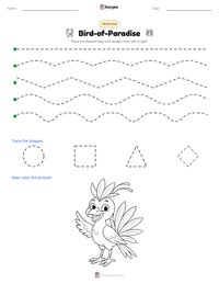 Bird-of-Paradise printable worksheet preview
