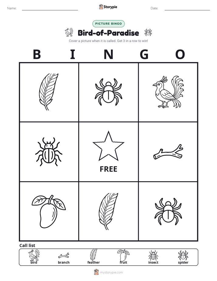Picture Bingo