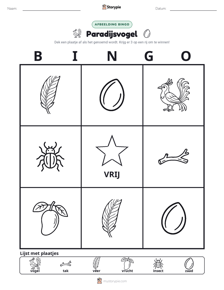 Afbeelding Bingo