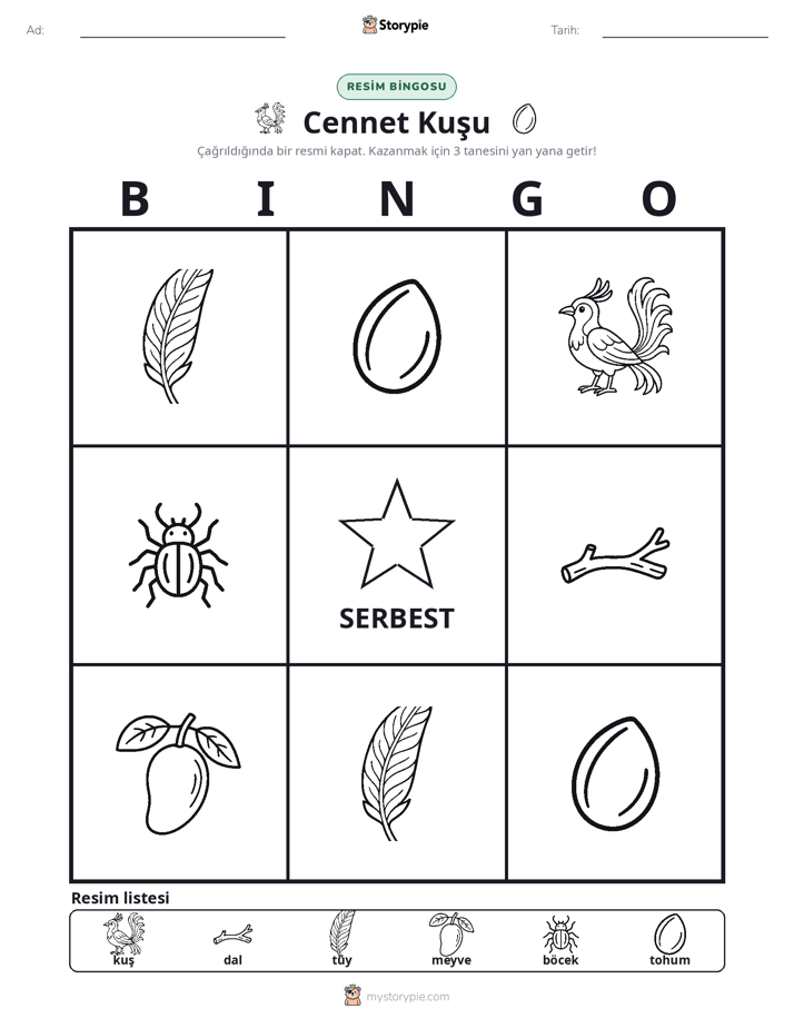 Resim Bingo