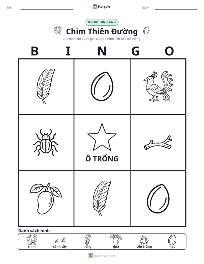 Bingo Hình Ảnh