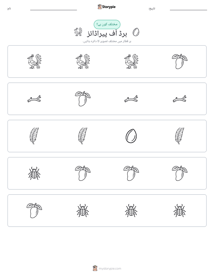 عجیب ایک