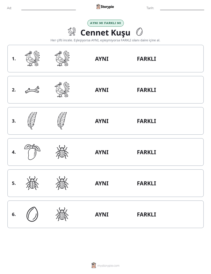 Aynı mı Farklı mı