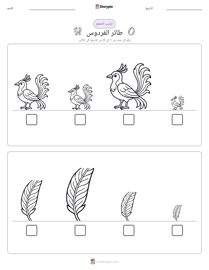 ترتيب الحجم
