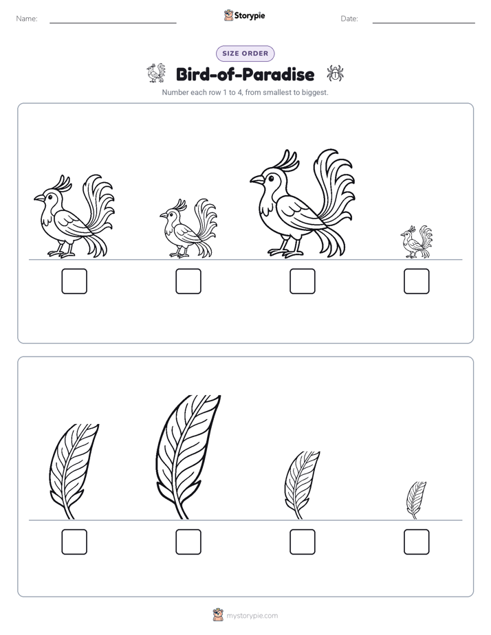 Size Order