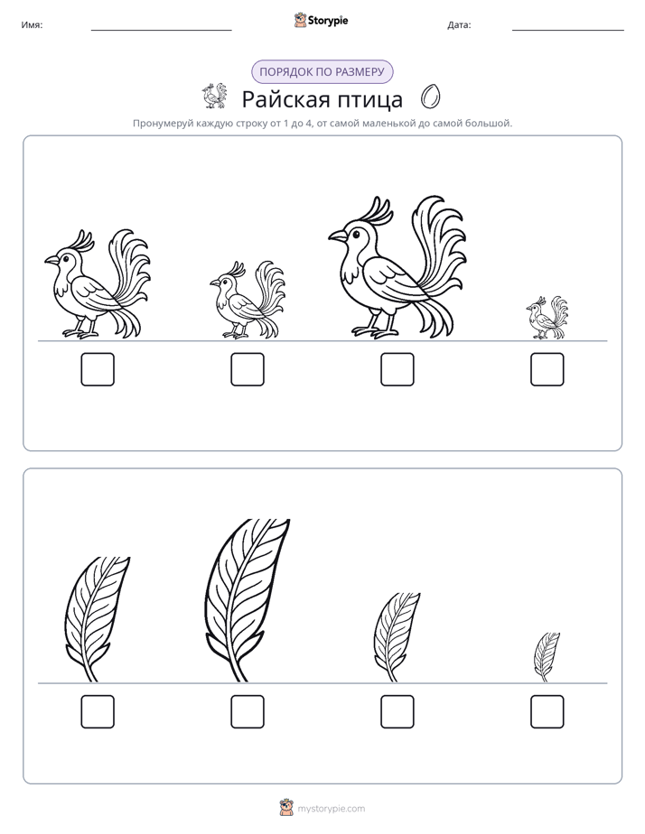 Размеры в порядке